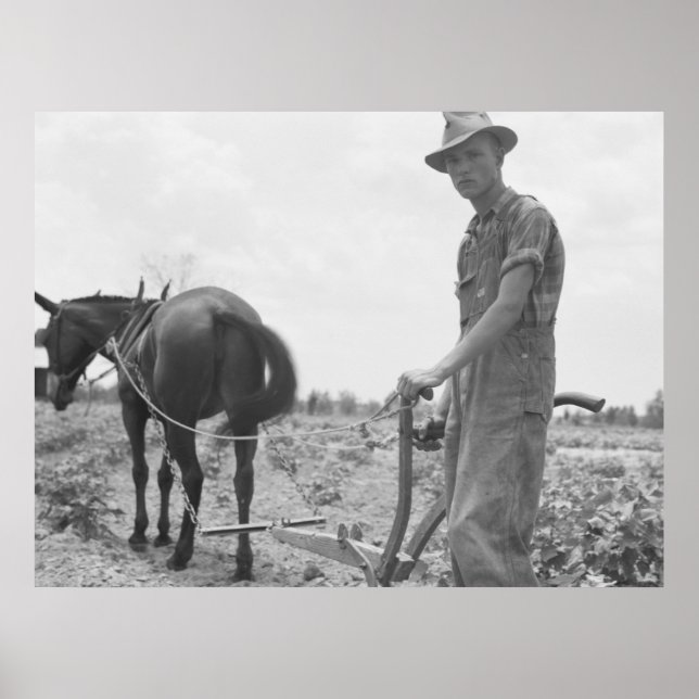 Arbeta i bomull poster (Framsidan)