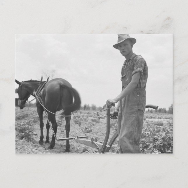 Arbeta i bomull vykort (Framsida)