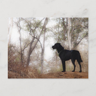 Arbeta i Hund Scooby på Hund för arbetsbevarande Vykort