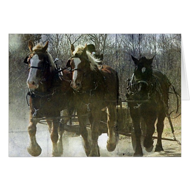 Arbeta med Amish-utkast Hälsningskort (Framsidan Horizontal)