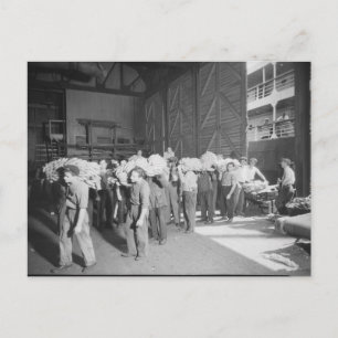 Arbeta med Banana Boat - Vintagen Vykort