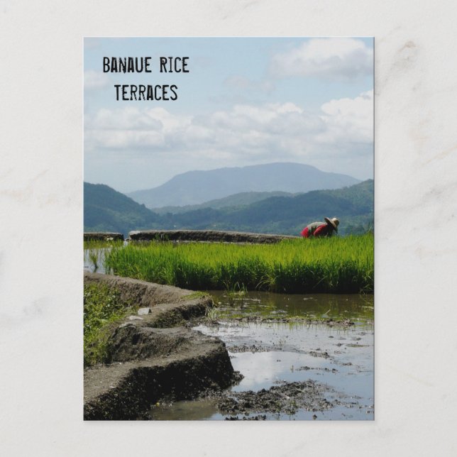 Arbeta med terrasserna vykort (Framsida)