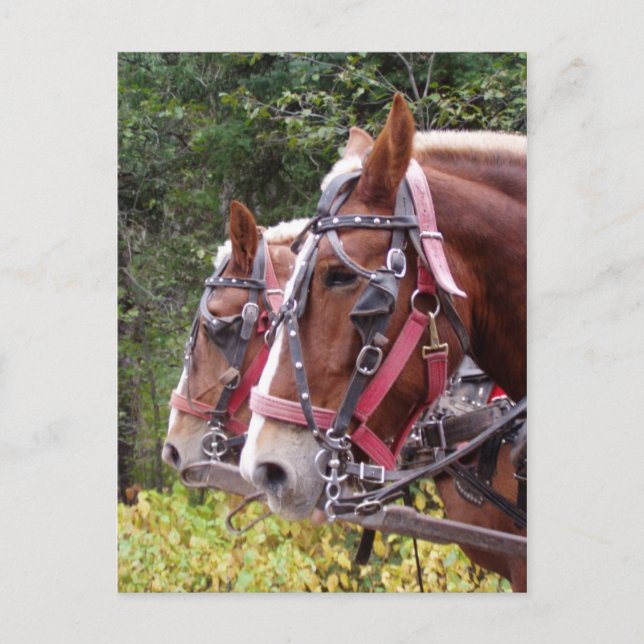 Arbetar Vykort (Framsida)