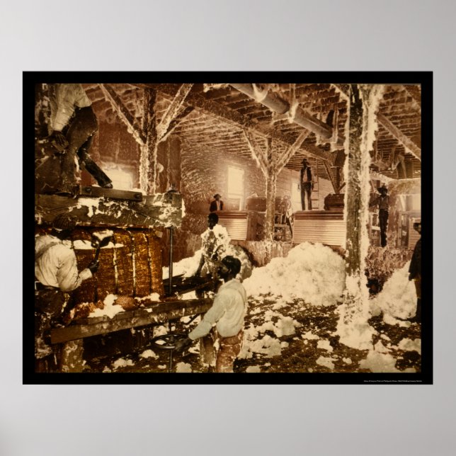 Arbetare inom bomullsgruvan i Dahomey, MS 1898 Poster (Framsidan)