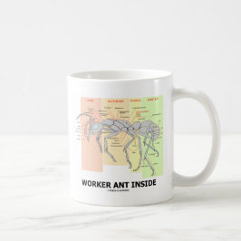 Arbetarmyrainsida (myraanatomi) kaffemugg