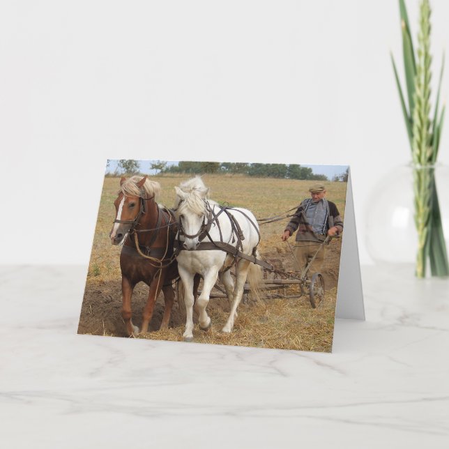 Arbete Kort (Framsida)