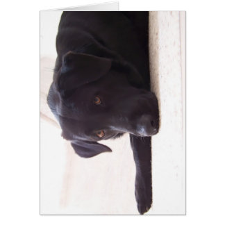 arbetshämtning hälsningskort