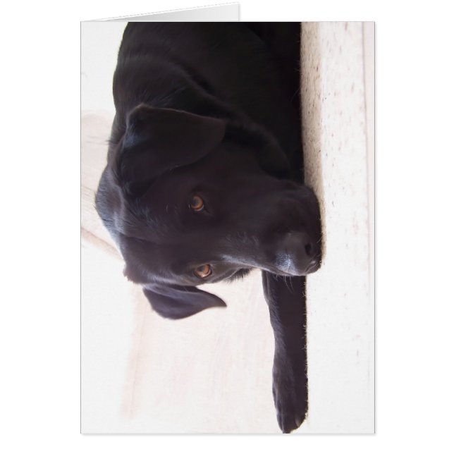 arbetshämtning hälsningskort (Framsidan)