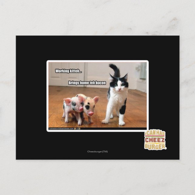 Arbetskitteh Vykort (Framsida)