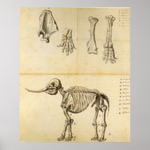 Arbetsskiss över Mastodon Poster