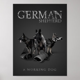 Arbetstyska Shepherd Hund - GSD Poster