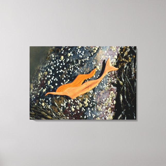 Arbetsyta med omsluten sjöjungfru canvastryck (Framsida)