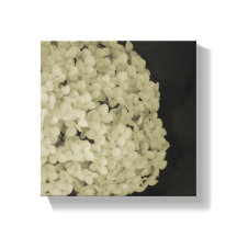 Arbetsytans blomsterfotografi skriver ut teckninga