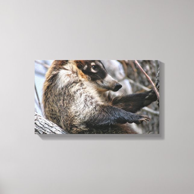 Arbetsytans figursättning: Coatimundi #3 Canvastryck (Framsida)