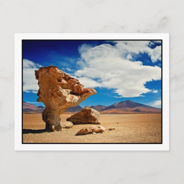Árbol de Piedra Postcard Vykort (Framsida)