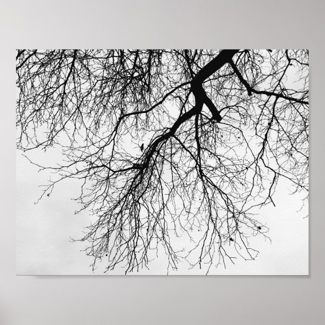 Arbre Noir et blanc Poster (Framsidan)