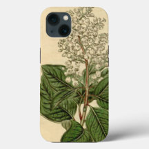 Arbutus Menziesii iphone case