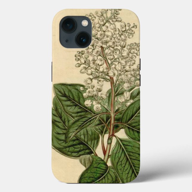 Arbutus Menziesii iphone case (Baksida)