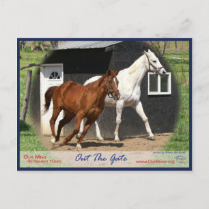 Arc Pub Miss och Bels Starlet Postcard Vykort