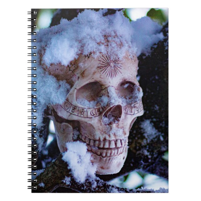 Arcane Winter I Anteckningsbok (Framsidan)