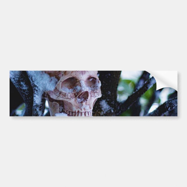 Arcane Winter I Bildekal (Framsidan)