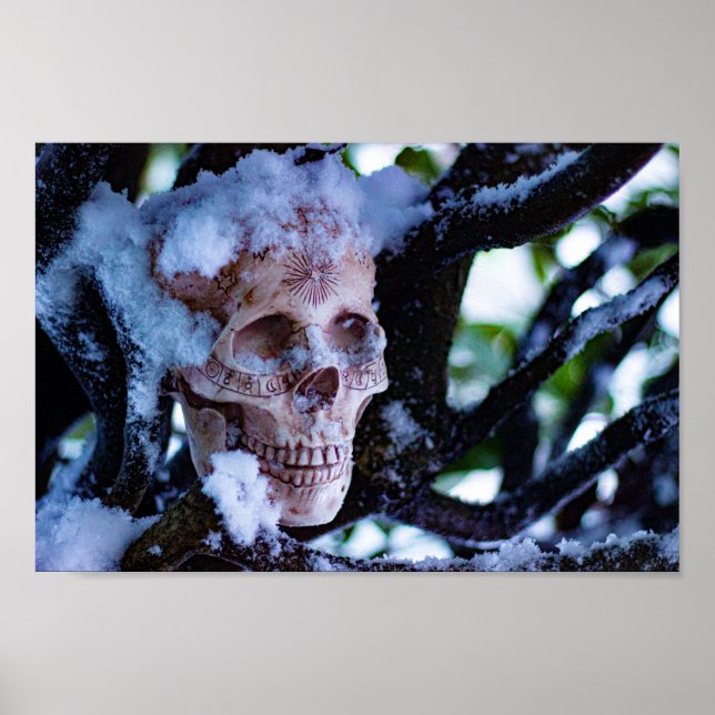 Arcane Winter I Poster (Framsidan)