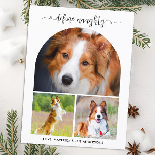 Arch Define Naughty Pet Photo Collage jul Helg Vykort