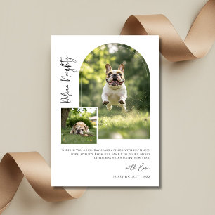 Arch Photo Define Naughty Rolig hund jul Julkort