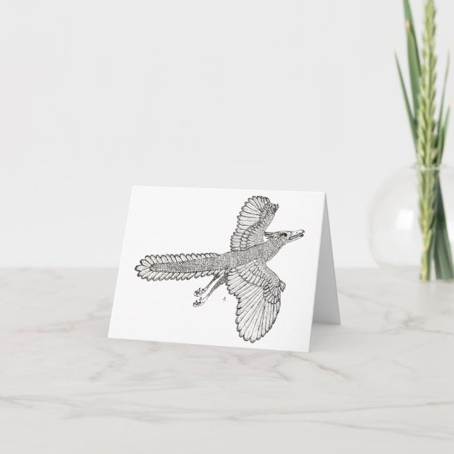 Archaeopteryx Kort (Framsida)