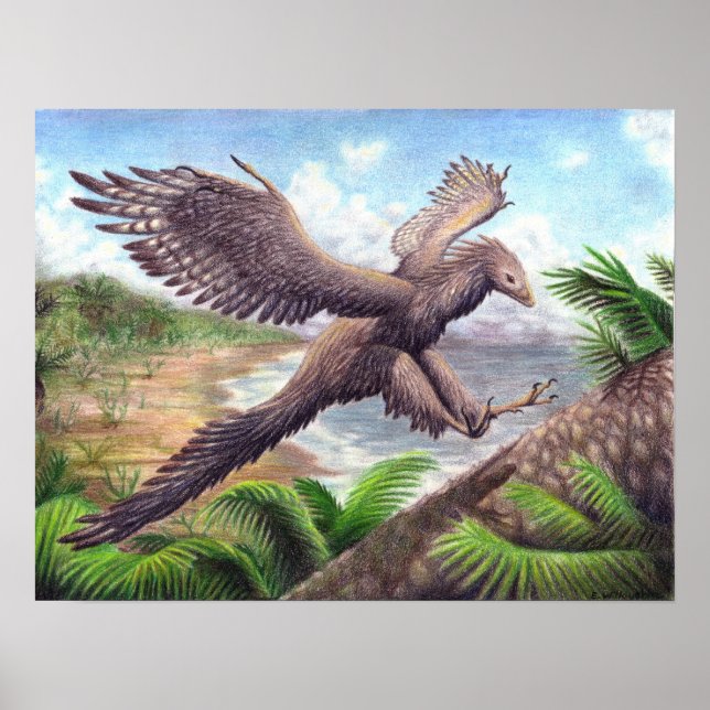 Archaeopteryx Skriv ut Poster (Framsidan)
