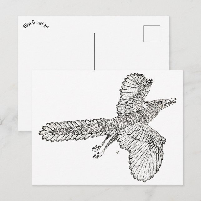 Archaeopteryx Vykort (Fram/baksida)