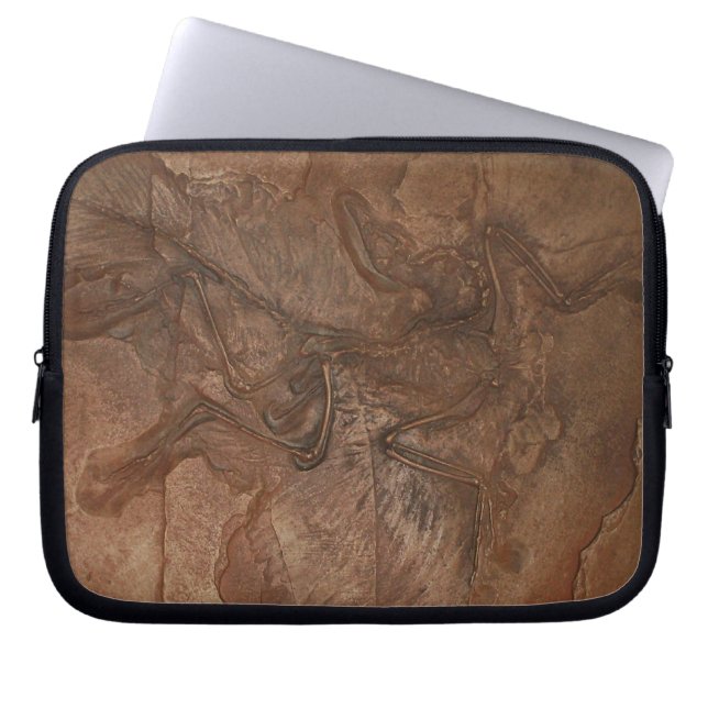 Archaeopteryxfossil - laptop sleeve (Framsidan)