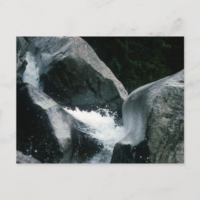 ARCHAIC TORSO OF APOLLO VYKORT (Framsida)