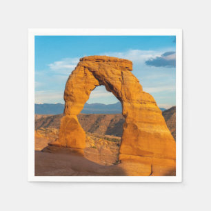 Arches National Park MOAB Utah Pappersservett