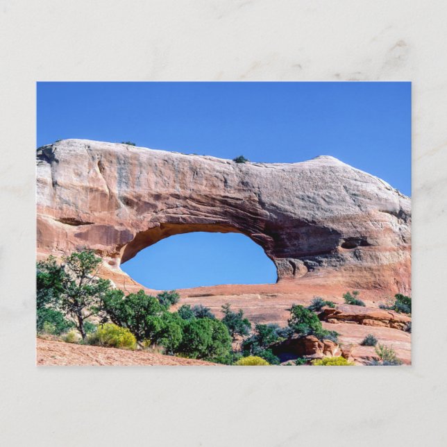 Arches National Park - North Window - Utah, USA Vykort (Framsida)