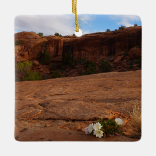 Arches Slickrock och Evening Primrose Landskap Julgransprydnad Keramik