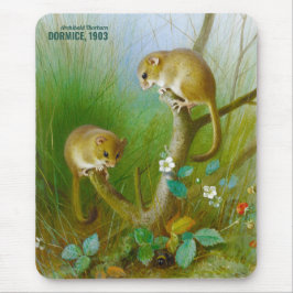Archibald Thorburn Cute Mce (Dormice 1903) CC0153 Musmatta