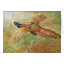 Archibald Thorburn Flies pheasant Bird art-kort