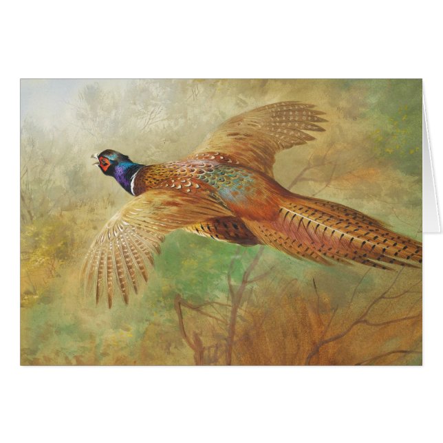Archibald Thorburn Flies pheasant Bird art-kort Hälsningskort (Framsidan Horizontal)