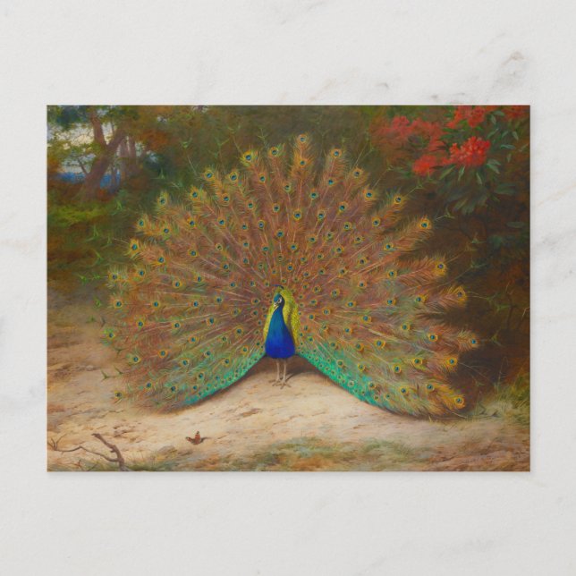 Archibald Thorburn Peacock Fine Art Vykort (Framsida)