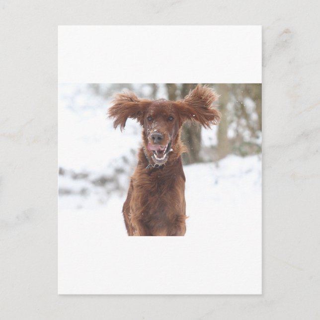 Archie II Vykort (Framsida)