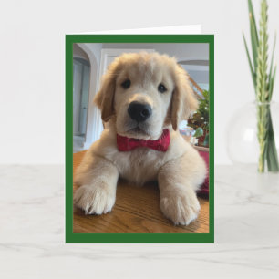 Archie jul Bowtie Tack Kort