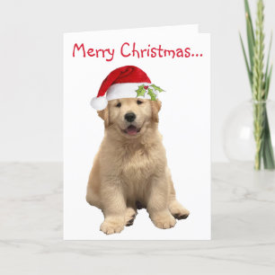 Archie jul Puppy Tack Kort
