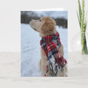 Archie jul Snö Tack Kort