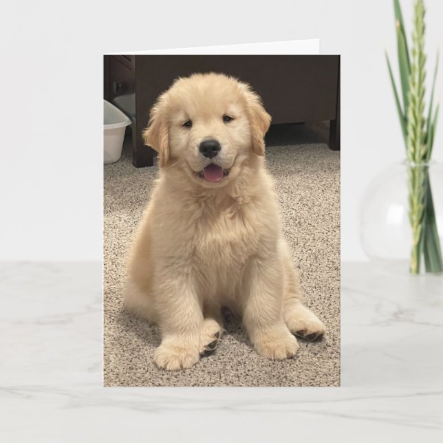 Archies födelsedagskort i Äventyr Tack Kort (Framsida)