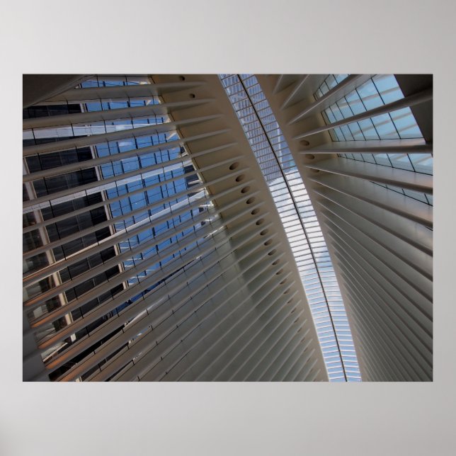 architectural spiderweb poster (Framsidan)