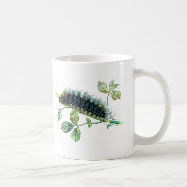 Arctia caja caterdar kaffemugg (Höger)