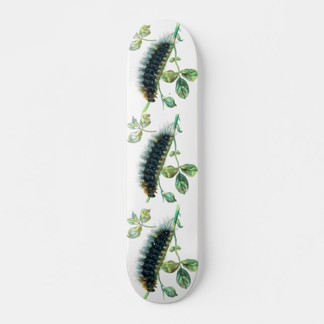 Arctia caja caterdar mini skateboard bräda 18,5 cm (Framsida)