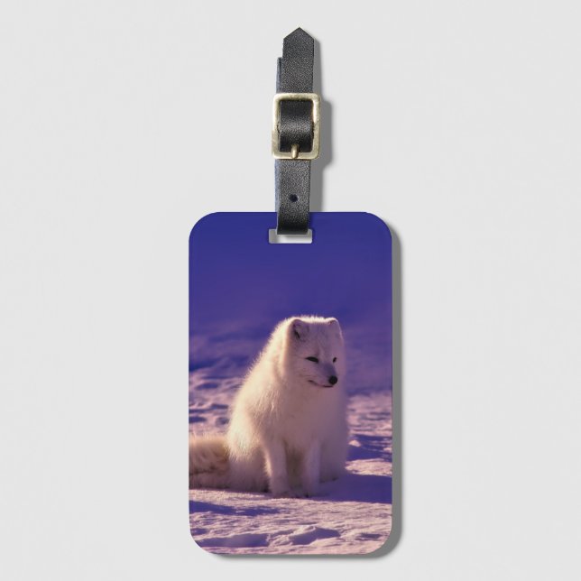 Arctic Fox Winter Snow Landscape Bagagebricka (Framsida vertikal)