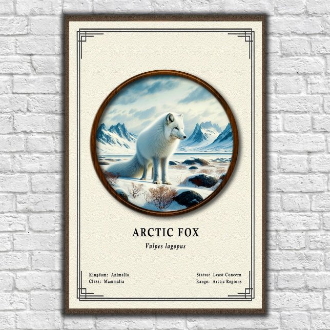 Arctic Fox Zoology Series Poster (Skapare uppladdad)